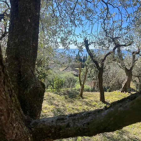 Casa Indipendente Cà Bottura Agli Ulivi Villa *