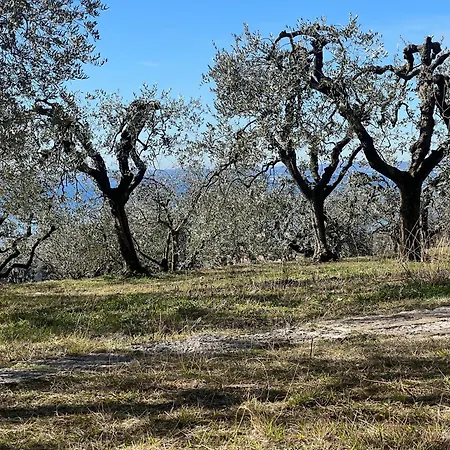 Casa Indipendente Cà Bottura Agli Ulivi Villa Garda (Verona)