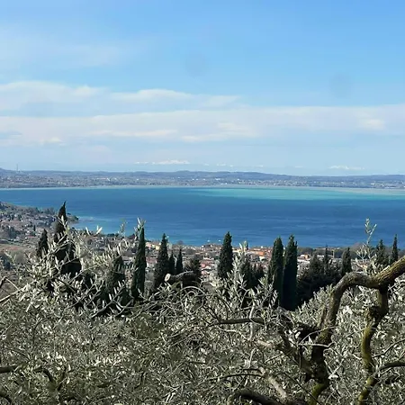 Casa Indipendente Cà Bottura Agli Ulivi