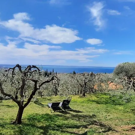 Villa Casa Indipendente Cà Bottura Agli Ulivi *