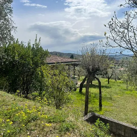 Casa Indipendente Cà Bottura Agli Ulivi Villa Garda (Verona)