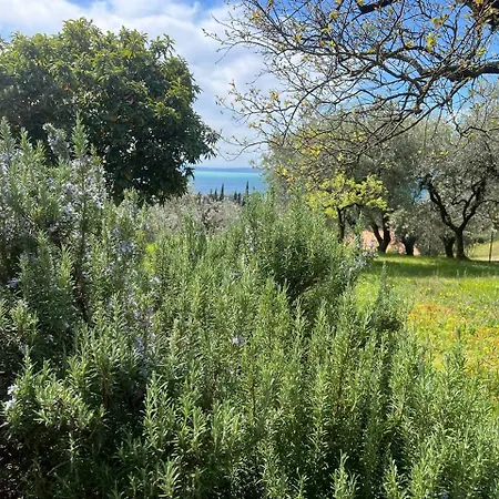 Villa Casa Indipendente Cà Bottura Agli Ulivi *